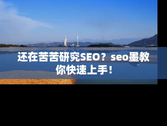 还在苦苦研究SEO？seo墨教你快速上手！