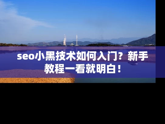 seo小黑技术如何入门？新手教程一看就明白！
