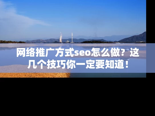 网络推广方式seo怎么做？这几个技巧你一定要知道！