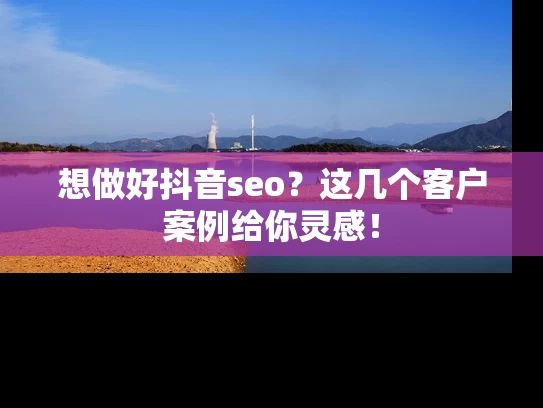想做好抖音seo？这几个客户案例给你灵感！