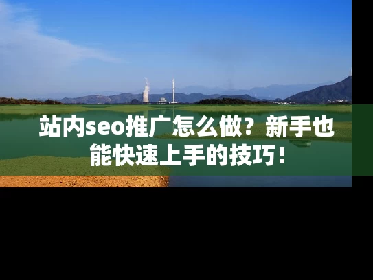 站内seo推广怎么做？新手也能快速上手的技巧！