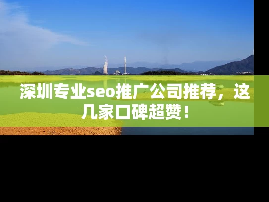 深圳专业seo推广公司推荐，这几家口碑超赞！