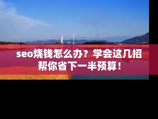 seo烧钱怎么办？学会这几招帮你省下一半预算！