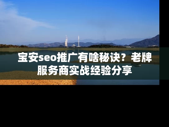 宝安seo推广有啥秘诀？老牌服务商实战经验分享