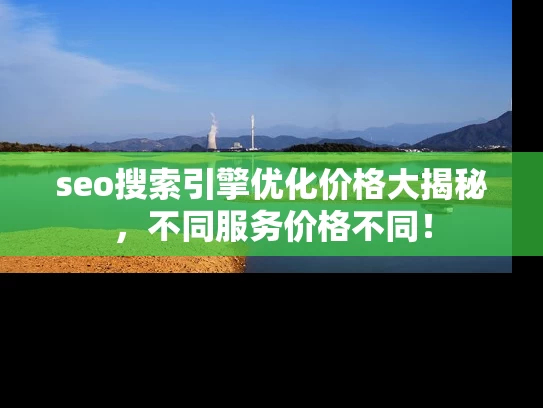 seo搜索引擎优化价格大揭秘，不同服务价格不同！