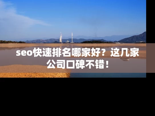 seo快速排名哪家好？这几家公司口碑不错！