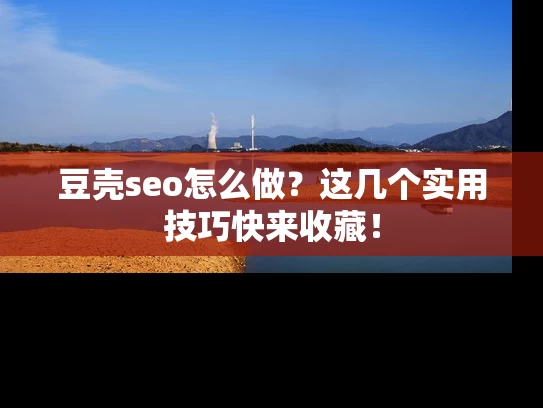 豆壳seo怎么做？这几个实用技巧快来收藏！