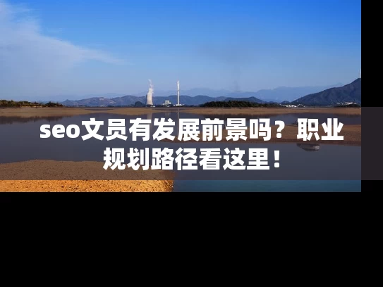 seo文员有发展前景吗？职业规划路径看这里！