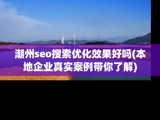 潮州seo搜索优化效果好吗(本地企业真实案例带你了解)