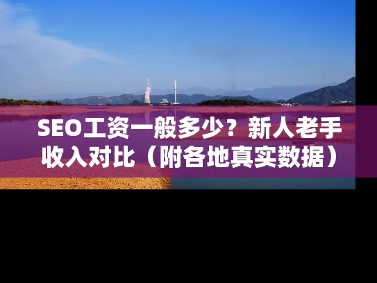 SEO工资一般多少？新人老手收入对比（附各地真实数据）
