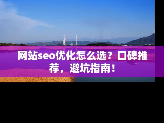 网站seo优化怎么选？口碑推荐，避坑指南！