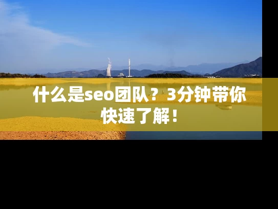 什么是seo团队？3分钟带你快速了解！