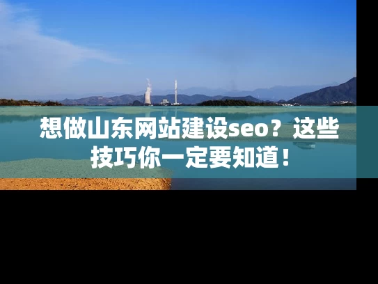想做山东网站建设seo？这些技巧你一定要知道！