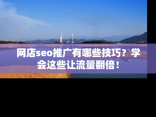 网店seo推广有哪些技巧？学会这些让流量翻倍！