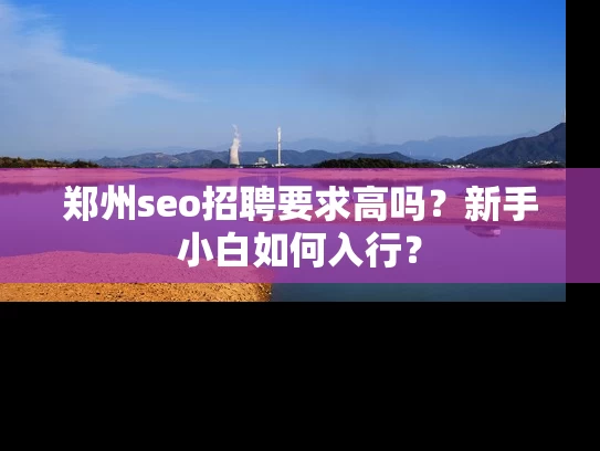 郑州seo招聘要求高吗？新手小白如何入行？