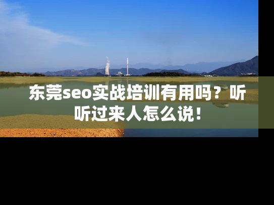 东莞seo实战培训有用吗？听听过来人怎么说！
