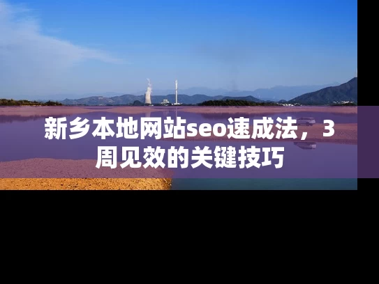 新乡本地网站seo速成法，3周见效的关键技巧