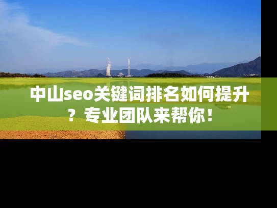 中山seo关键词排名如何提升？专业团队来帮你！