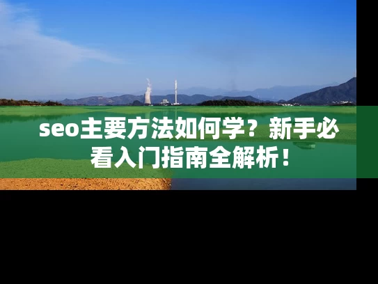 seo主要方法如何学？新手必看入门指南全解析！