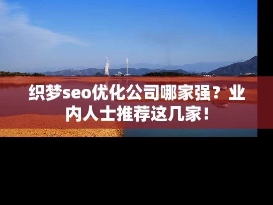 织梦seo优化公司哪家强？业内人士推荐这几家！