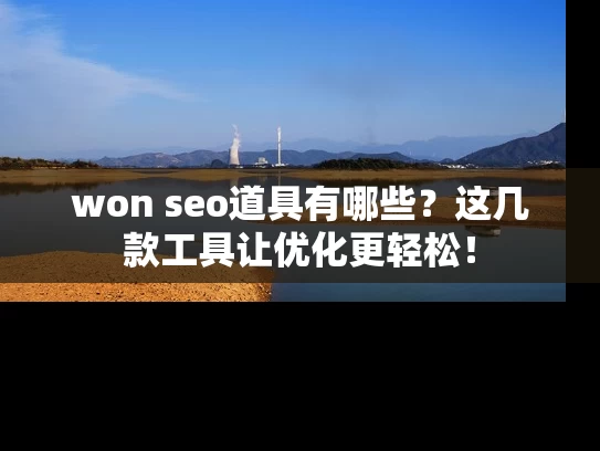won seo道具有哪些？这几款工具让优化更轻松！