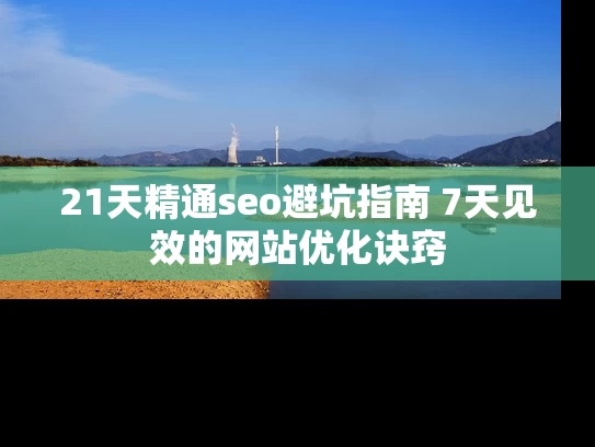 21天精通seo避坑指南 7天见效的网站优化诀窍
