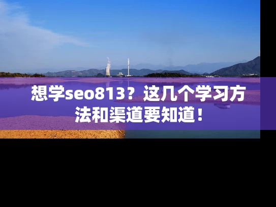 想学seo813？这几个学习方法和渠道要知道！
