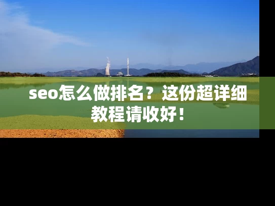 seo怎么做排名？这份超详细教程请收好！