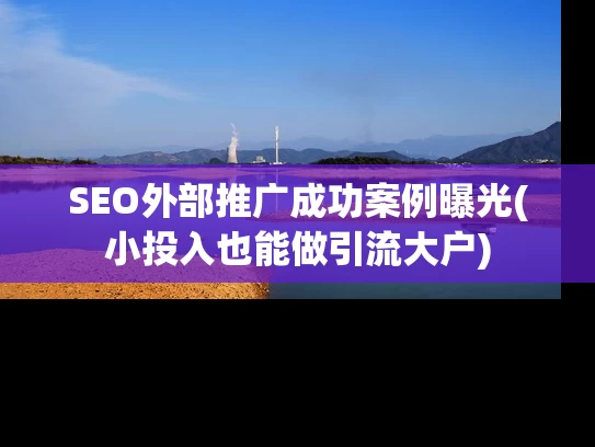 SEO外部推广成功案例曝光(小投入也能做引流大户)