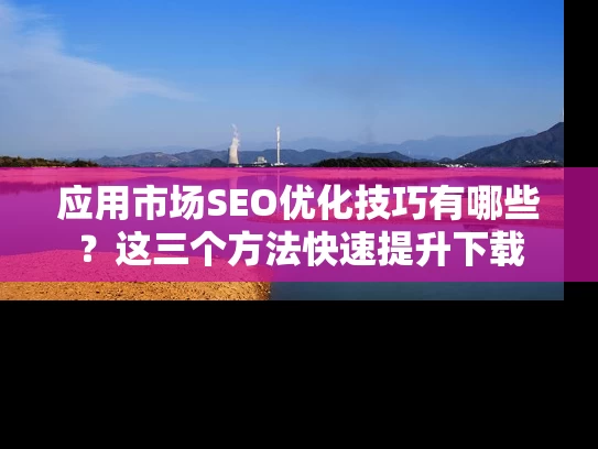 应用市场SEO优化技巧有哪些？这三个方法快速提升下载