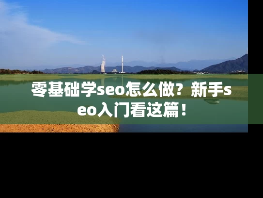 零基础学seo怎么做？新手seo入门看这篇！