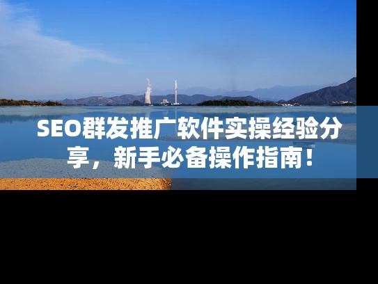 SEO群发推广软件实操经验分享，新手必备操作指南！