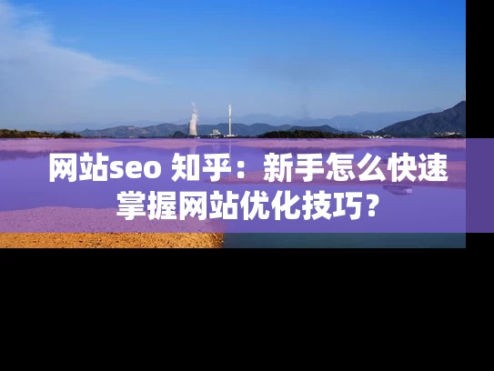 网站seo 知乎：新手怎么快速掌握网站优化技巧？