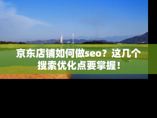 京东店铺如何做seo？这几个搜索优化点要掌握！