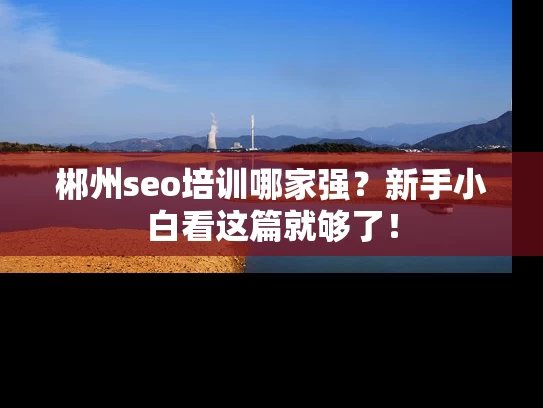 郴州seo培训哪家强？新手小白看这篇就够了！