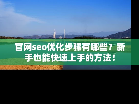 官网seo优化步骤有哪些？新手也能快速上手的方法！