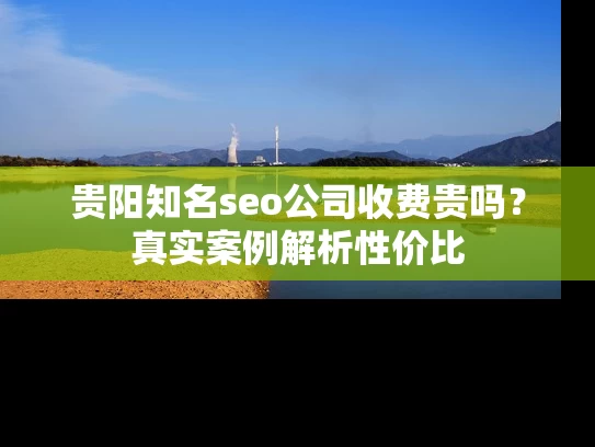 贵阳知名seo公司收费贵吗？真实案例解析性价比