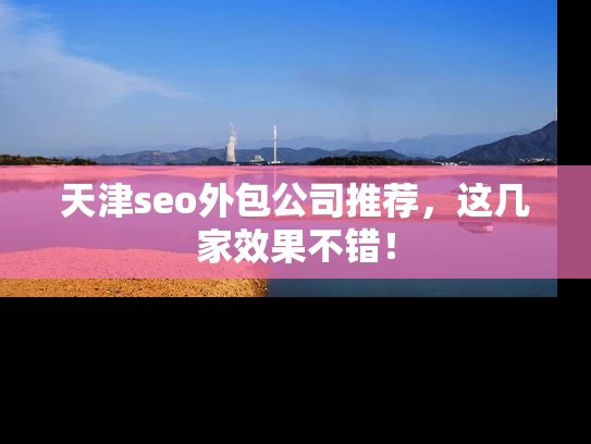 天津seo外包公司推荐，这几家效果不错！