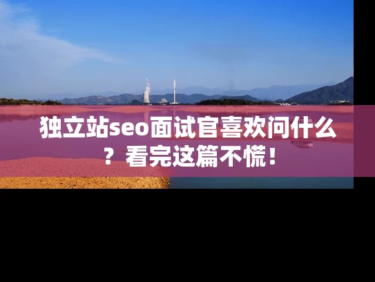 独立站seo面试官喜欢问什么？看完这篇不慌！