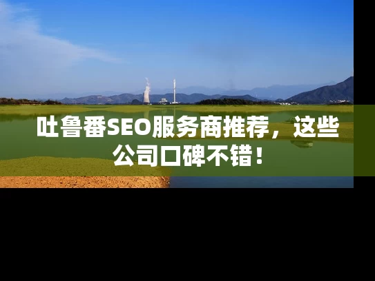 吐鲁番SEO服务商推荐，这些公司口碑不错！