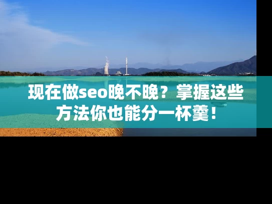 现在做seo晚不晚？掌握这些方法你也能分一杯羹！