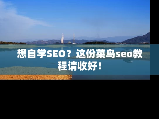 想自学SEO？这份菜鸟seo教程请收好！