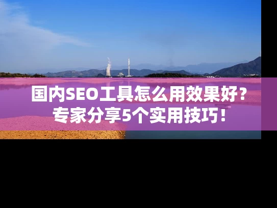 国内SEO工具怎么用效果好？专家分享5个实用技巧！