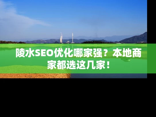 陵水SEO优化哪家强？本地商家都选这几家！