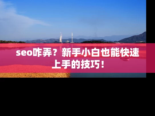 seo咋弄？新手小白也能快速上手的技巧！