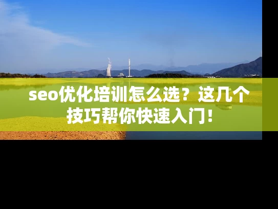 seo优化培训怎么选？这几个技巧帮你快速入门！