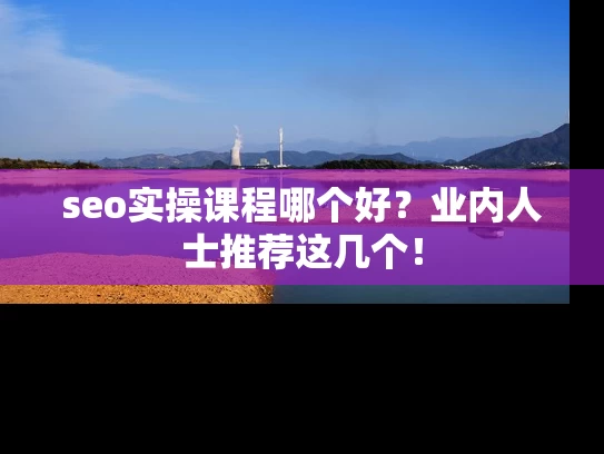 seo实操课程哪个好？业内人士推荐这几个！