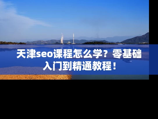 天津seo课程怎么学？零基础入门到精通教程！