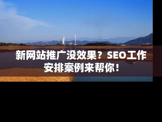 新网站推广没效果？SEO工作安排案例来帮你！