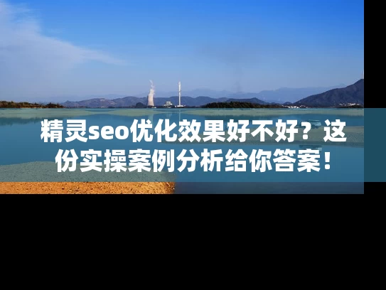 精灵seo优化效果好不好？这份实操案例分析给你答案！